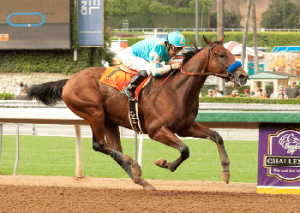 American Pharoah